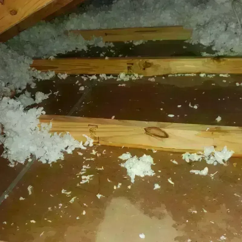 Attic Water Damage in Plains, PA